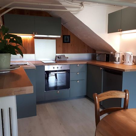 Bel Appartement Rez-De-Jardin Saint-Genest-Malifaux Eksteriør bilde